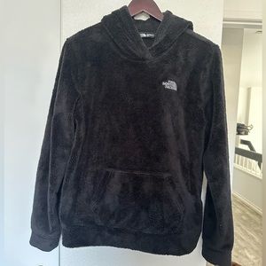 The north face sherpa hoodie